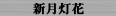 新月灯花