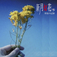 初夏の記録